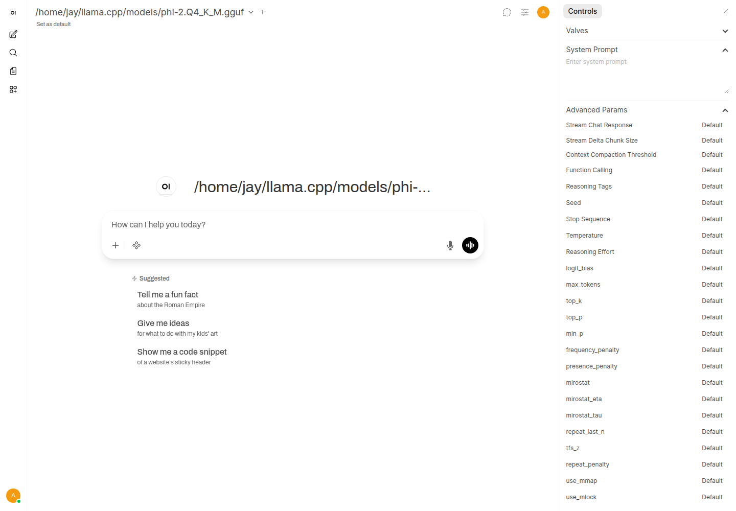 Open WebUI Controls panel showing System Prompt and the full Advanced Params list